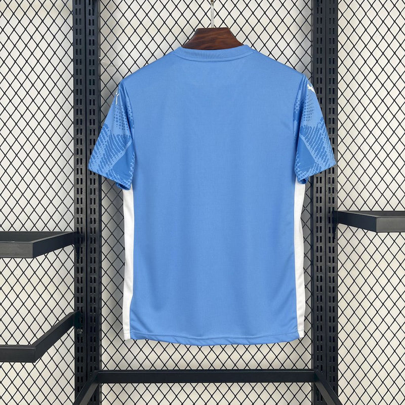 Camisola SE Palmeiras 2025/26 - Goleiro