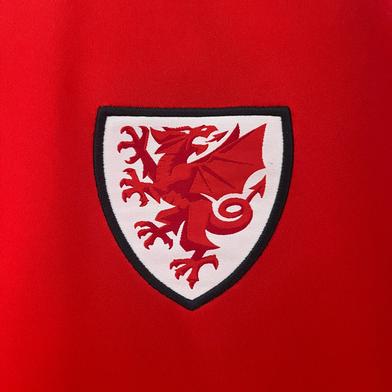 Camisola Seleção País de Gales 2024/25 Home