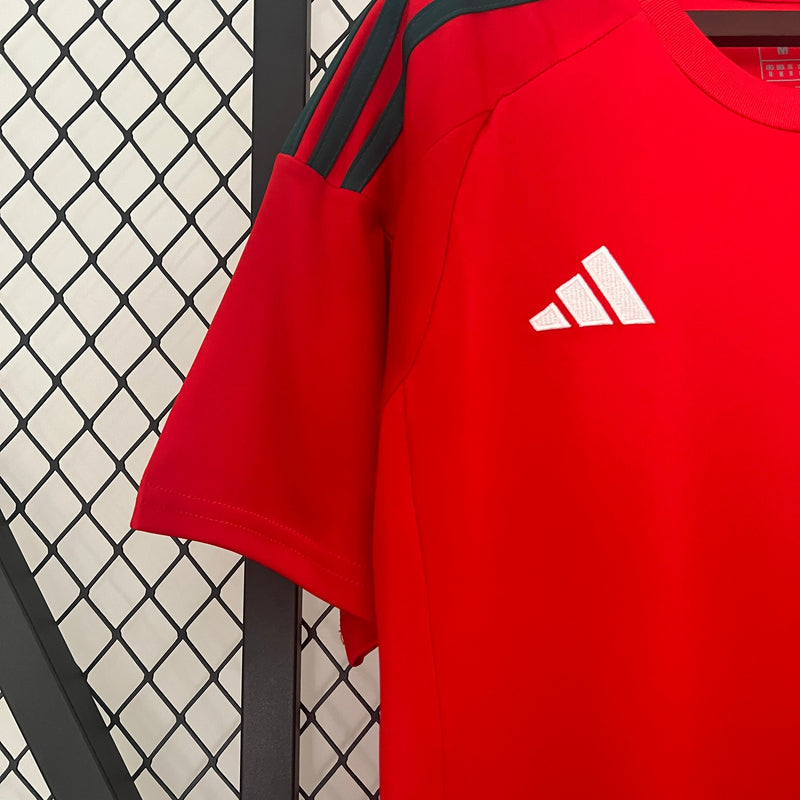 Camisola Seleção País de Gales 2024/25 Home