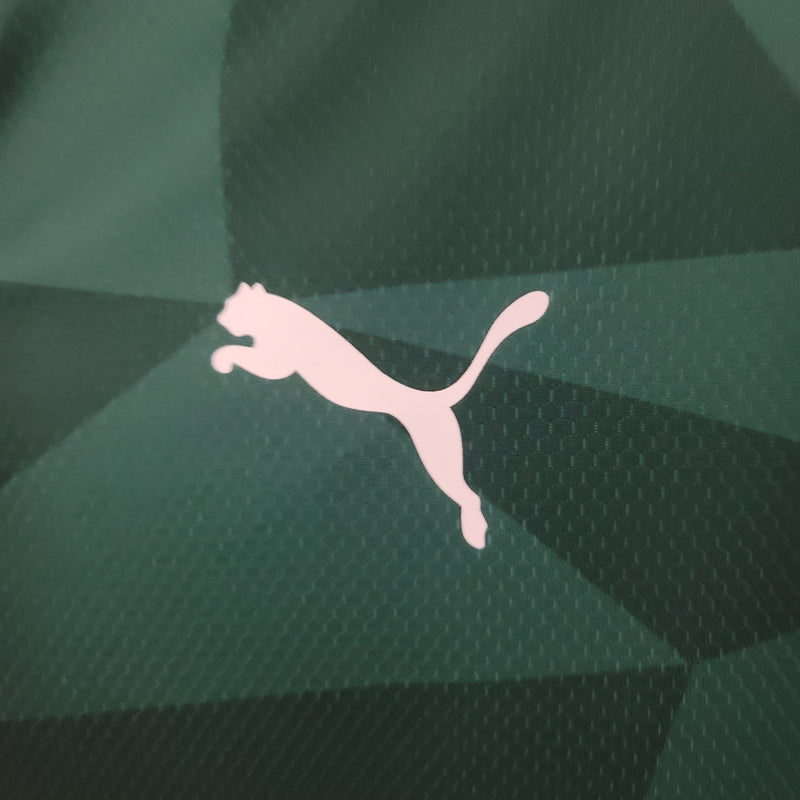 Camisola SE Palmeiras 2023/24 Home