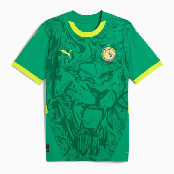 Senegal Away Fan Jersey 2024/25 - Imagem 1