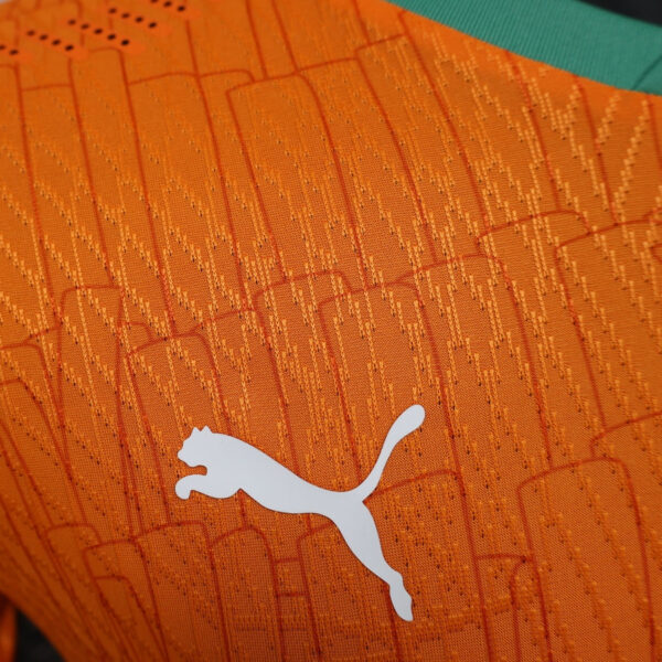 Ivory Coast Home Authentic Player 2024/25 - Imagem 3