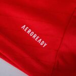 Benfica Home Fan Jersey 2024/25 Patches UCL UEFA Foundation (Official Printing) - Imagem 4