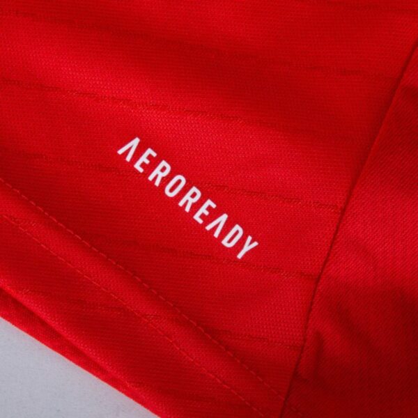 Benfica Home Fan Jersey 2024/25 Patches UCL UEFA Foundation (Official Printing) - Imagem 4