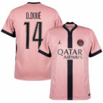 Paris Saint-Germain Jordan Third Fan Jersey 2024/25