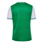 Saint-Étienne Home Fan Jersey 2025/26 - Imagem 2