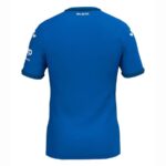 Hoffenheim Home Jersey 2024/25 - Imagem 2
