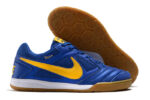 Nike SB Gato Futsal